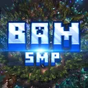 BAM BUDDIES