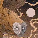 the comunity of the owl