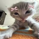 𝕾𝖔𝖋𝖎𝖆'𝖘 𝖒𝖎𝖉𝖓𝖎𝖌𝖍𝖙 𝖛𝖊𝖎𝖑