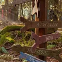 Camp Half-Blood: Reborn