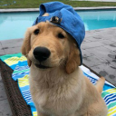 bon voyage