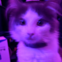 woozer