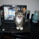 The Bub Hub