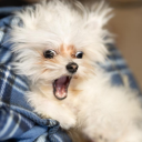 *Gasp*