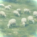 The Pasture