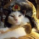 companheiros ☭