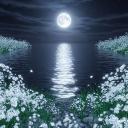 야화원 : 夜花園 ( 안내패스 )