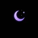 Midnight Family