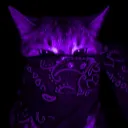 /𝔣𝔯𝔞𝔪𝔢/#FEMCEL