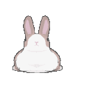 Hunni Bunnies! <3 Discord server icon