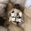⌗ㆍノ𝘱𝘶𝘱𝘱𝘺 𝘱𝘢𝘭𝘢𝘤𝘦❛🐕❛