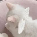 No catboys allowed : LF ACTIVE MEMBERS