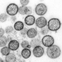 Hantavirus Advocacy
