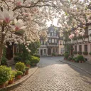 Smilesville