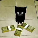 cat cord