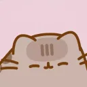 Pusheen’s fur • Social • Ask2Dm • Vc ♡