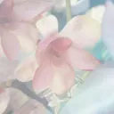 ౿﹒𝑻𝒂𝒃𝒊﹒﹒ıllı𓂃