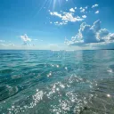 ┆・♡・Caspian’s Sea-Side Shop