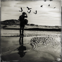 Gregory Alan Isakov Discord server icon