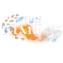 The Elements