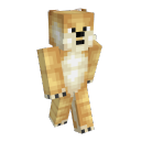 The MC Doge Server