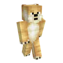 The MC Doge Server