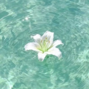 🌊 𝐹𝓁𝑜𝓌 🌊