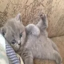 join ノpatiently