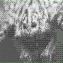 XSDR