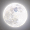 Moonlight Yume's | 18+