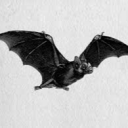 The Bat Cave