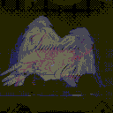 ࿇   ℑ𝔪𝔪𝔢𝔯𝔰𝔞𝔩   ࿇