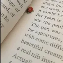 Ladybug Library