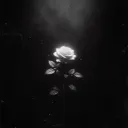 𝗋𝖾𝗏𝖾𝗋𝖾𝖽
