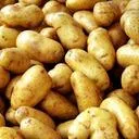 Potato Party