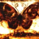 Server icon