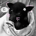 ꒰ঌ KEᗰOᑎOᗰIᗰI ໒꒱ discord icon