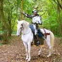 Medieval life (RP)