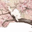 🌸「Bancha's Tea House」🌸