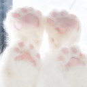 °❀.ೃ࿔*𝐬𝐨𝐥𝐢𝐭𝐮𝐝𝐞⋆.❀.ೃ࿔*