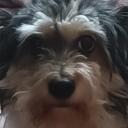 Lucy
