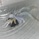 sexty