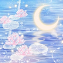 𐦍 𝕃𝕦𝕟𝕒𝕣 𝕃𝕠𝕦𝕟𝕘𝕖 𐦍