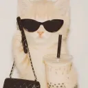 Server icon for 18+ | cat.co🐈