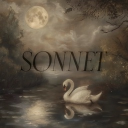 #SONNET | OFFICIAL 𓇢𓆸