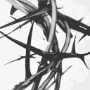 ︵   ໒꒱    𝓒iρheɾ ᣟ  𝓟oƖ    𓏻۫ 𓈒