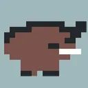 Boar