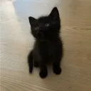 NwN