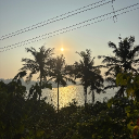 Go Goa Gone
