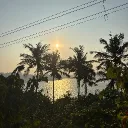 Go Goa Gone